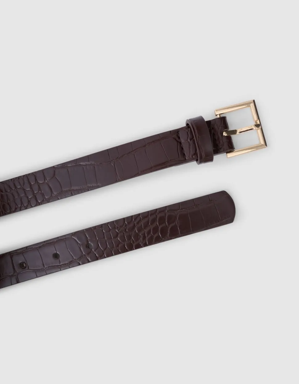 Croco Riem Bruin