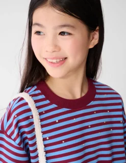 Striped Balloon Fit Sweater Donkerrood/Blauw