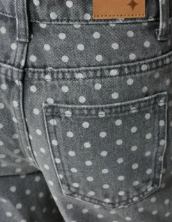 Wide Leg Fit Dot Jeans Grijs